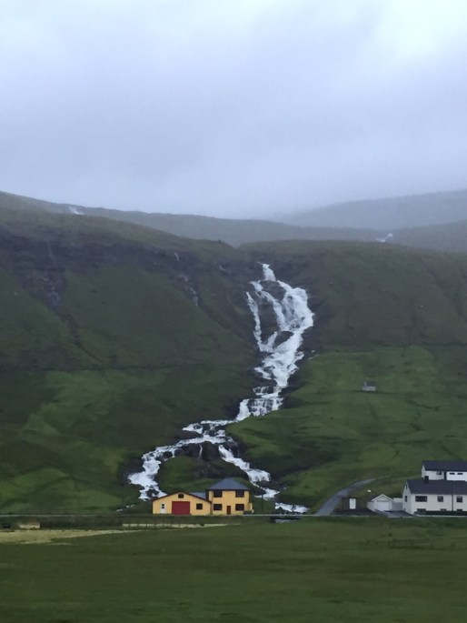 2015-08-04 07.45.49.jpg