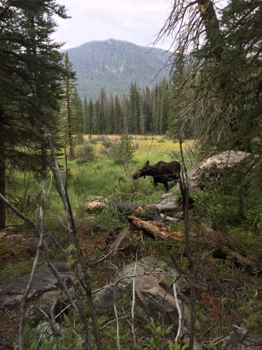 2015-08-18 11.45.45 HDR.jpg