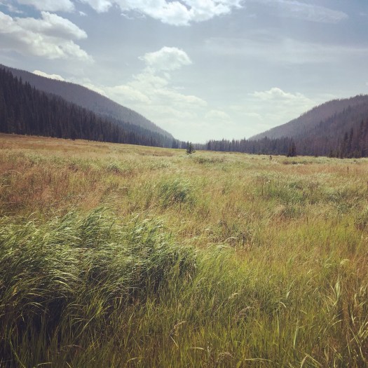 2015-08-19 04.18.06.jpg